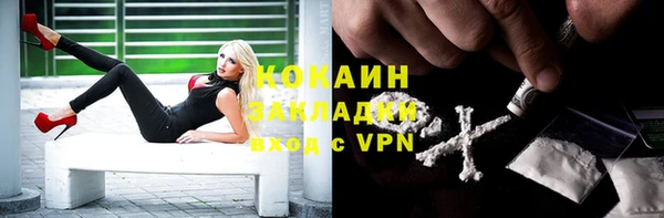 spice Алексин